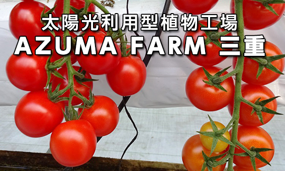 太陽光利用型植物工場 AZUMA FARM三重