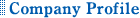 Company Profile