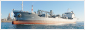 Coastal/International Services