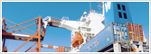 Export/Import-Related Services