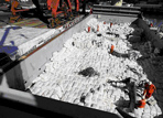 Project Cargo Services