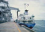 Powder cargo carrier/at a thermal power station