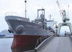 International Shipping Services